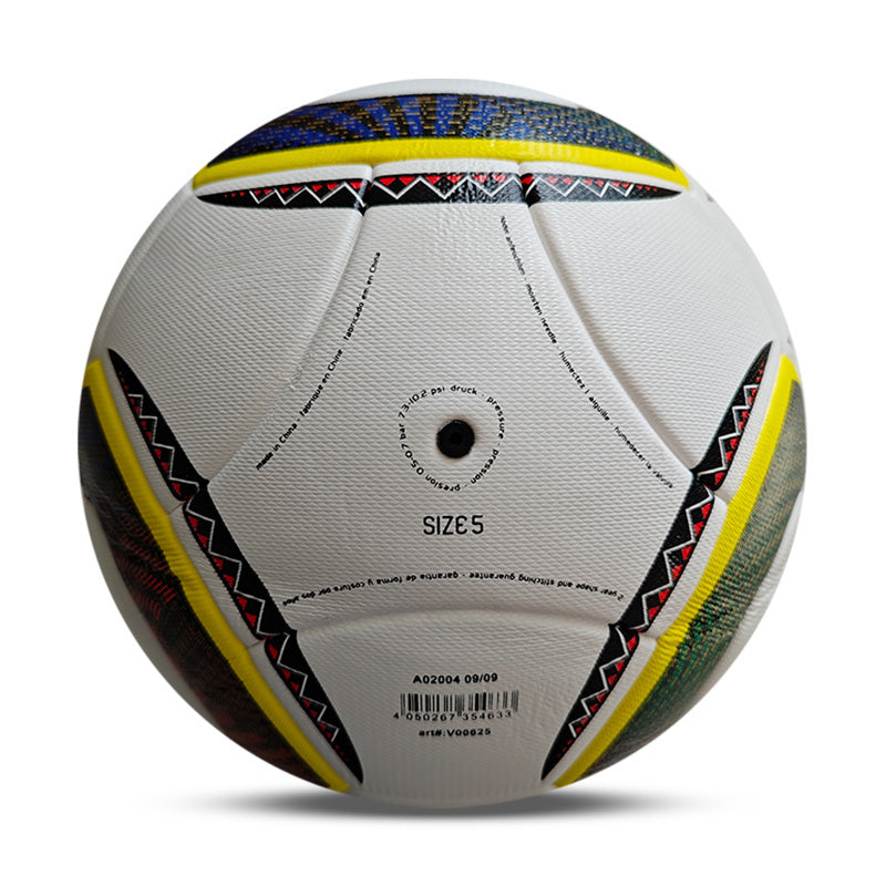 2010 WORLD CUP BALL